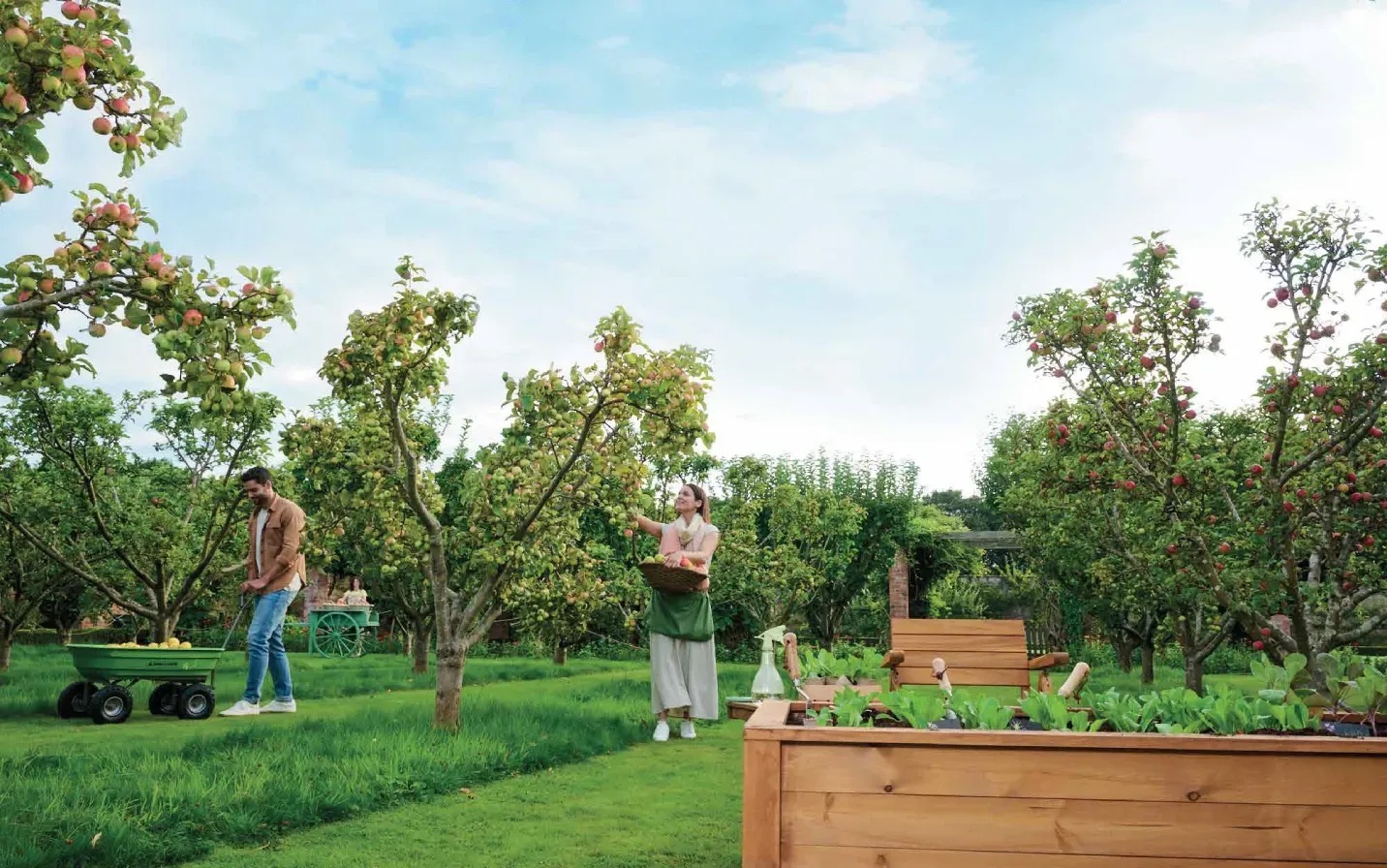 ماونتن فيو اليفا