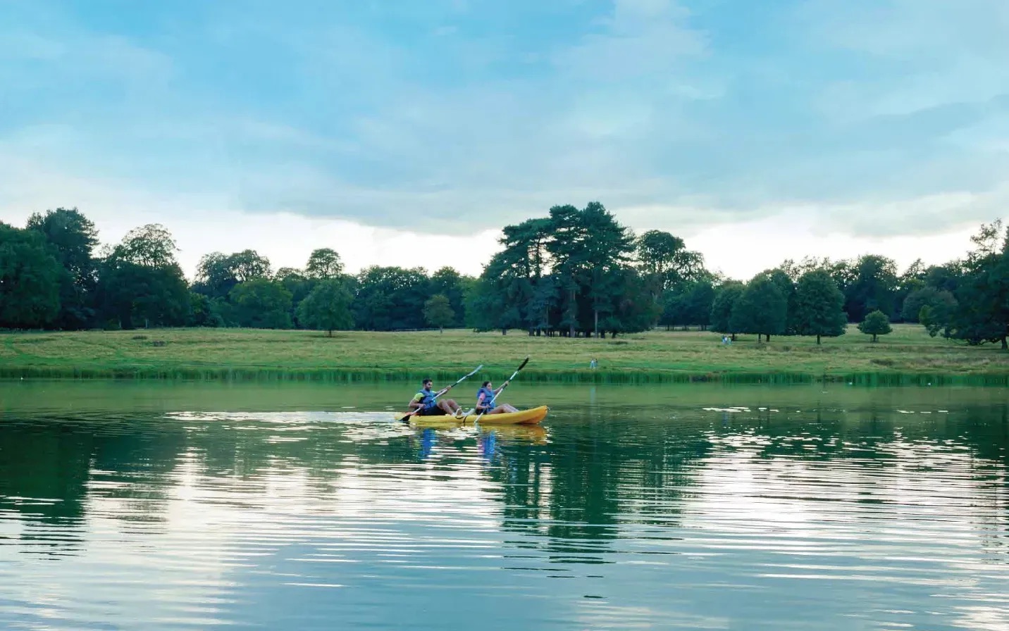 ماونتن فيو اليفا